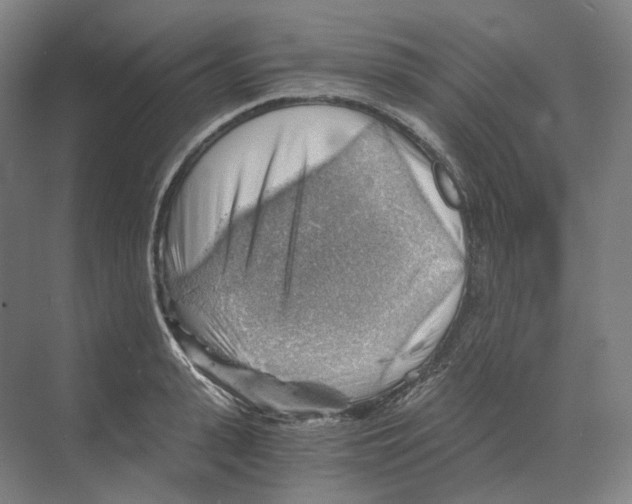 X0000068850943200606021731