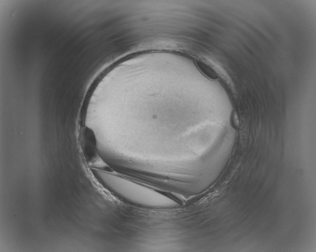 X0000068850944200606021731