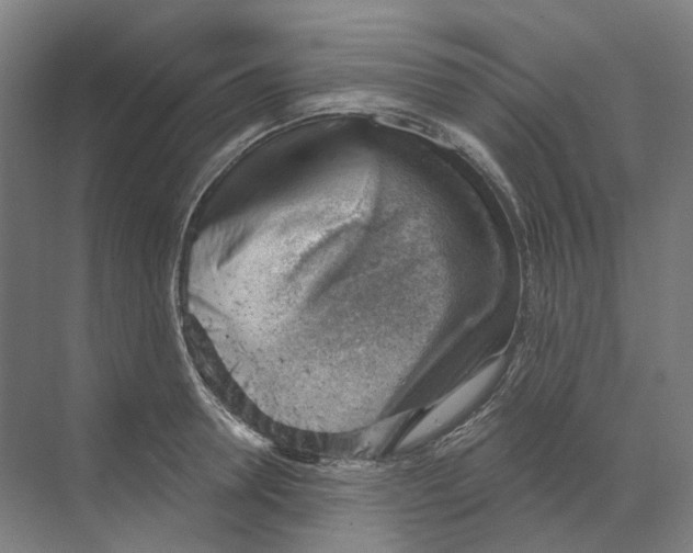 X0000068850946200606021731