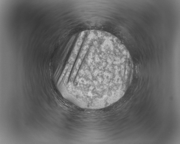 X0000068850963200606021730