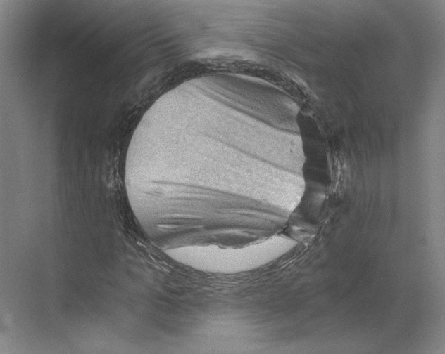 X0000068850965200606021730
