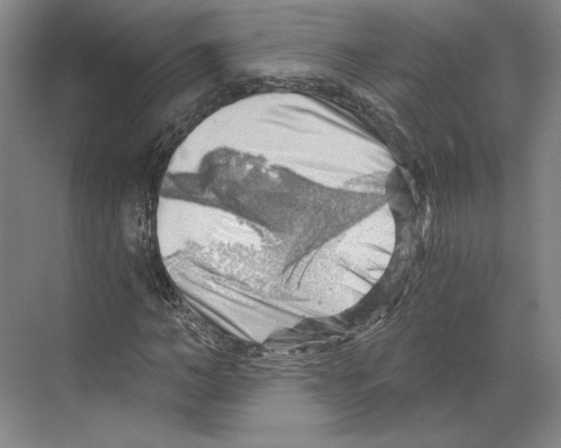 X0000068850966200606021730