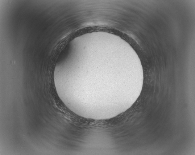 X0000068850967200606021730