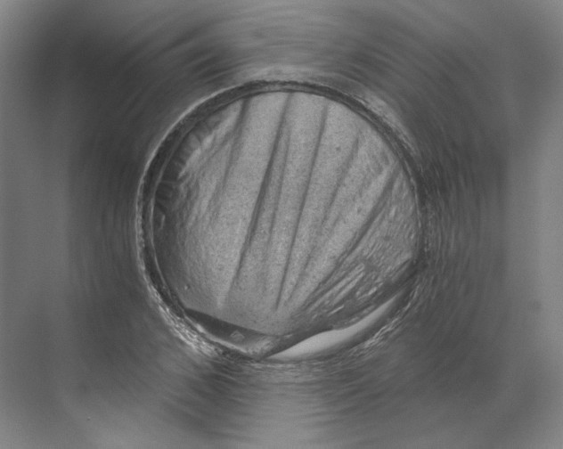 X0000068850976200606021730