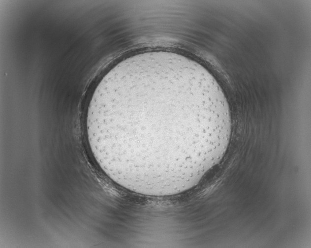 X0000068850978200606021730