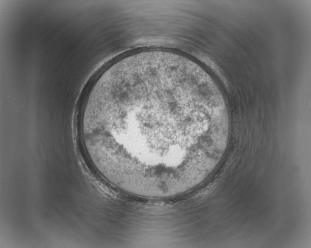X0000068850983200606021730
