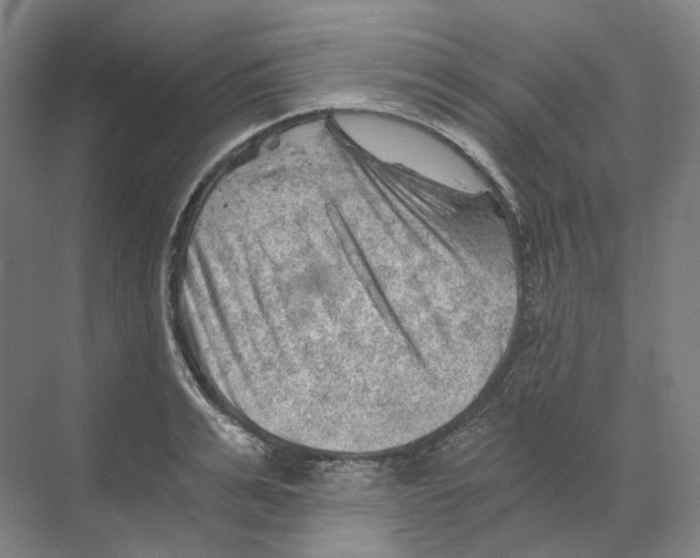 X0000068850991200606021730