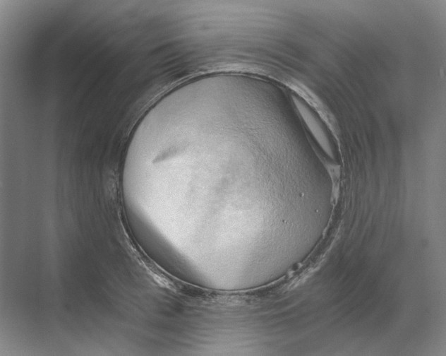 X0000068850993200606021730