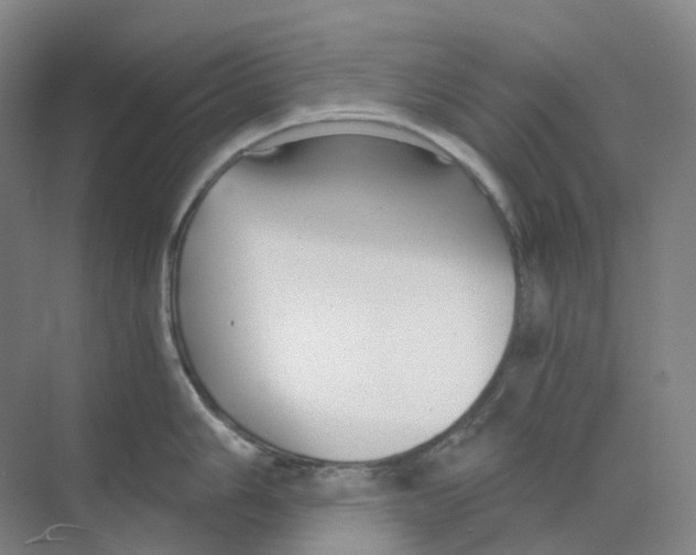 X0000068851006200606021730