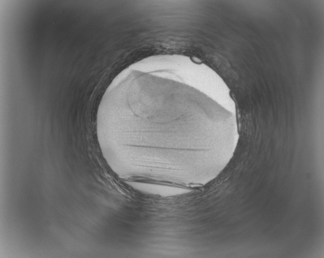 X0000068851009200606021729