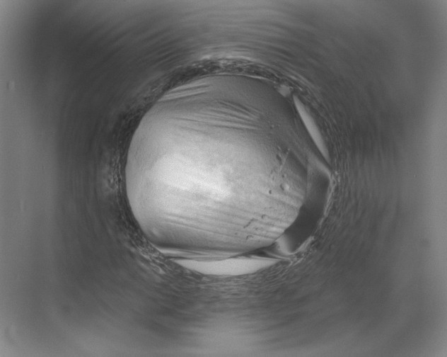 X0000068851014200606021729
