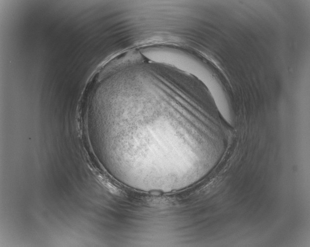 X0000068851018200606021729