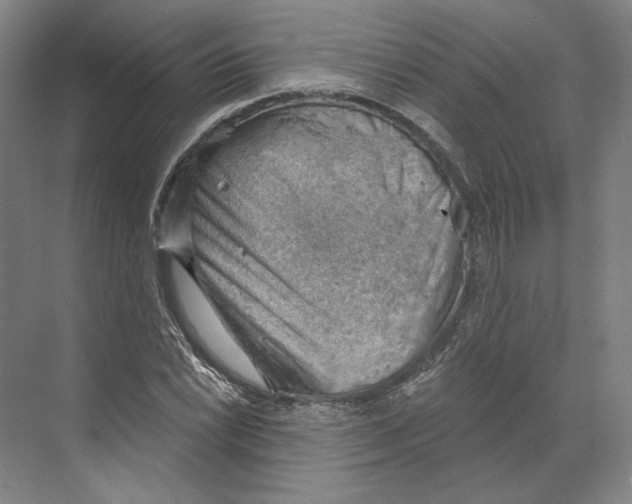 X0000068851022200606021729