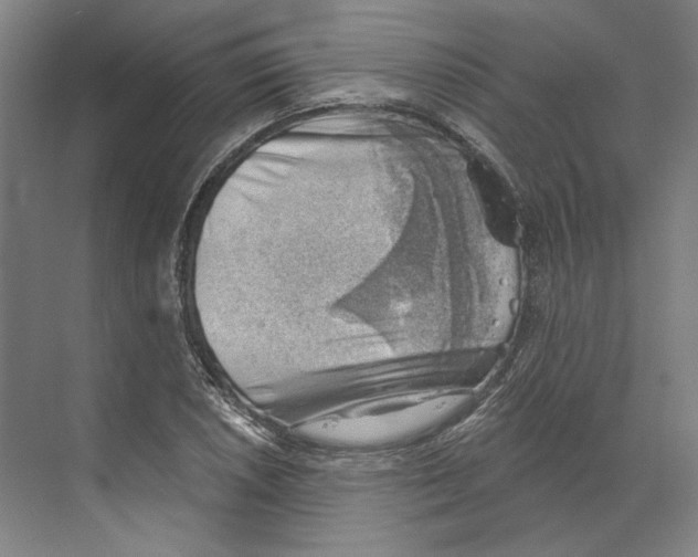 X0000068851026200606021729
