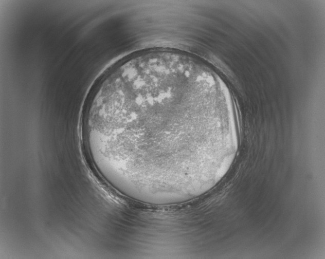 X0000068851028200606021729