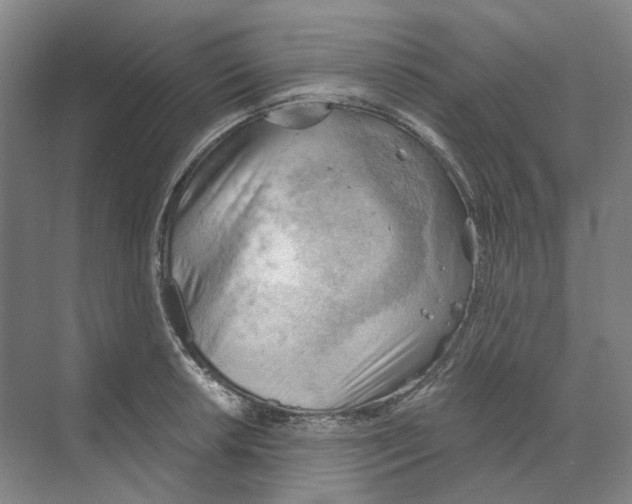 X0000068851042200606021729
