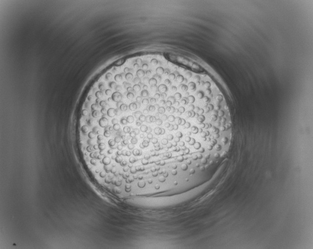 X0000068851053200606021730