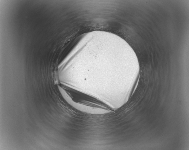 X0000068851058200606021729