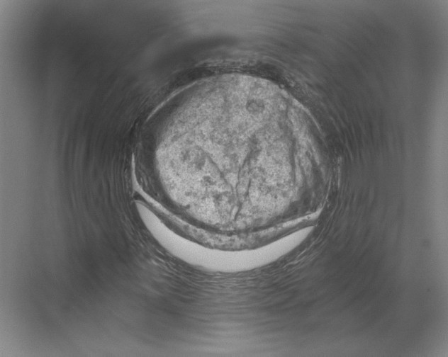 X0000068851059200606021729