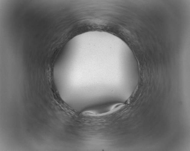 X0000068851061200606021729