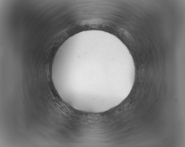 X0000068851062200606021729