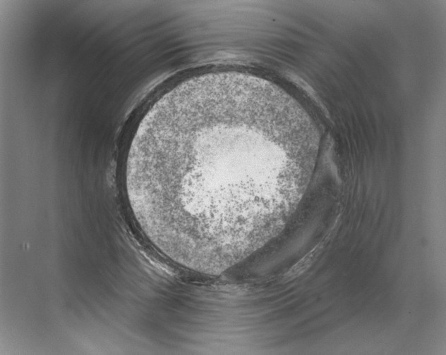 X0000068851066200606021729