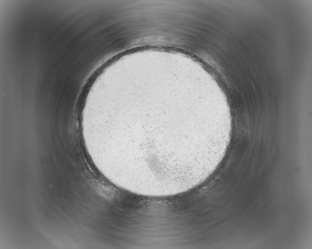 X0000068851070200606021729