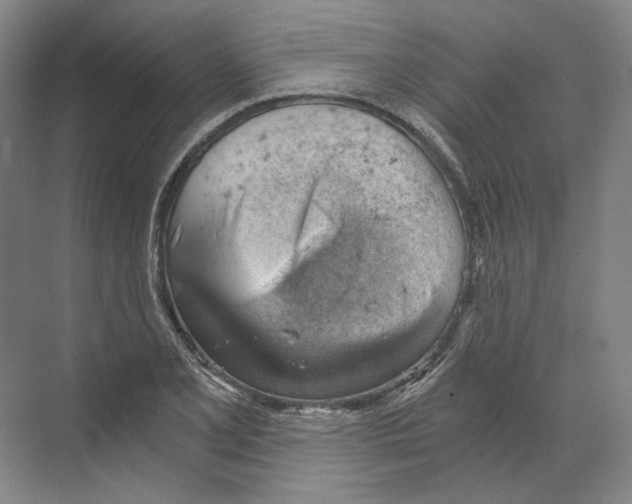 X0000068851077200606021729