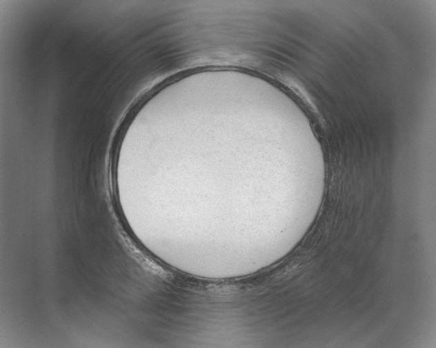 X0000068851080200606021728