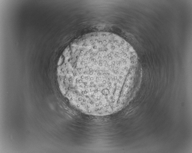 X0000068851105200606021727