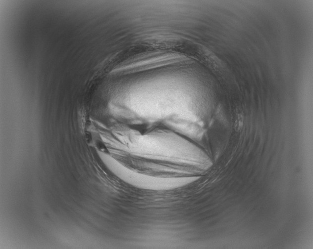 X0000068851108200606021727