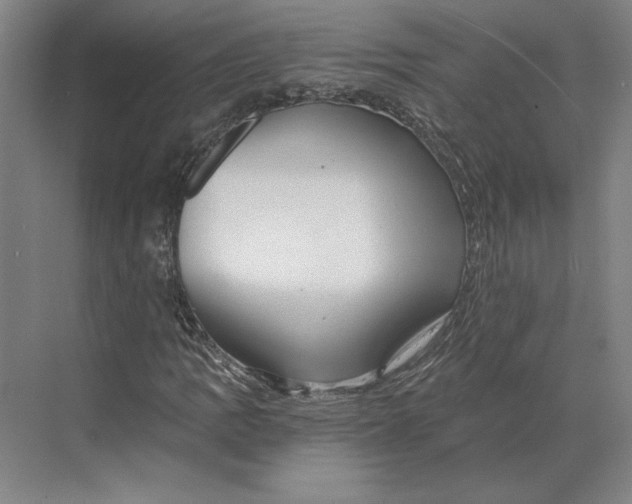 X0000068851109200606021727