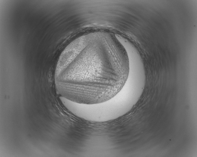 X0000068851110200606021727
