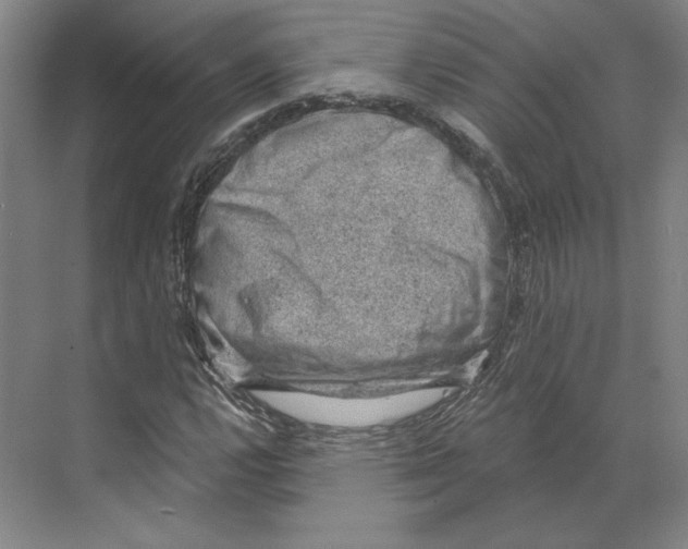 X0000068851112200606021727