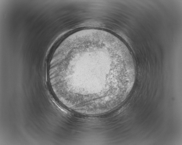 X0000068851123200606021728
