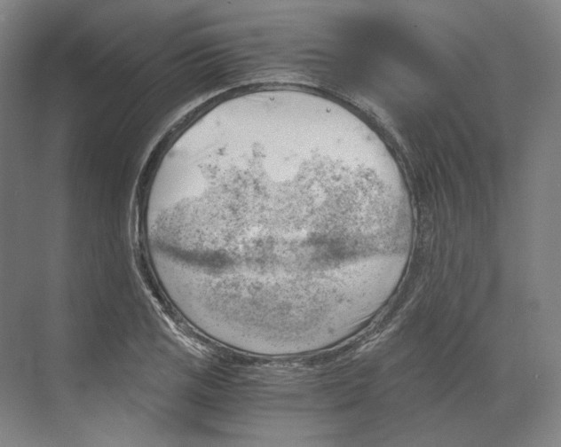 X0000068851125200606021728