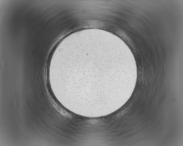 X0000068851130200606021728