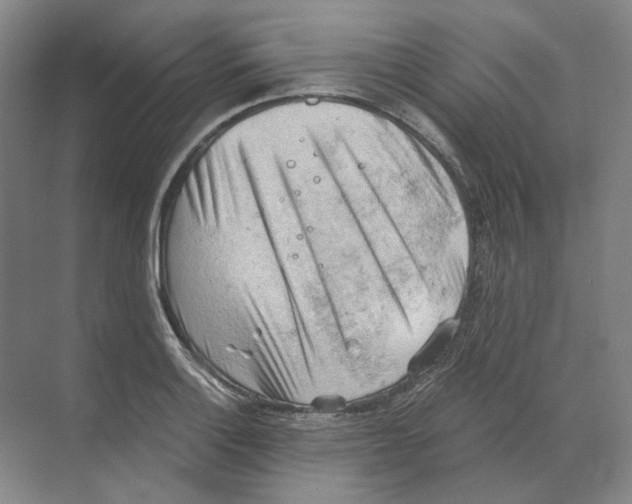 X0000068851132200606021728