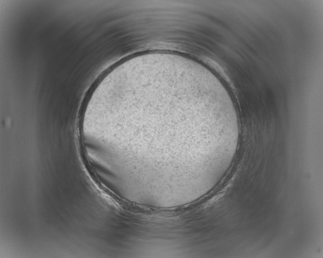 X0000068851133200606021728