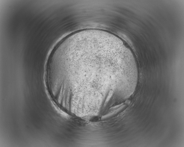 X0000068851136200606021728