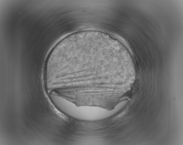 X0000068851149200606021728