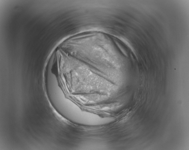 X0000068851151200606021728