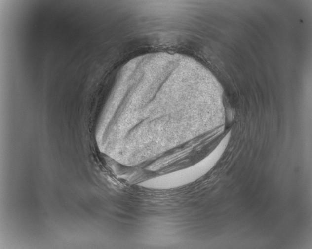 X0000068851153200606021727