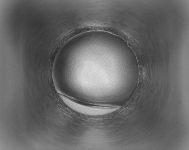 X0000068851157200606021727
