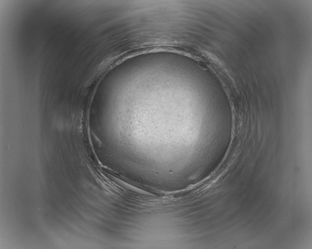 X0000068851161200606021727