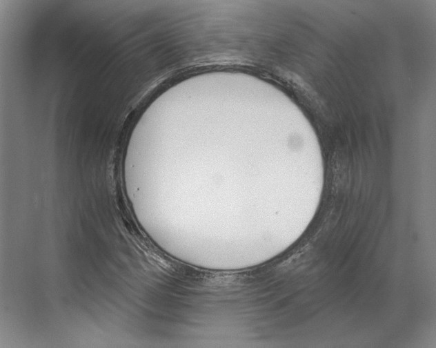 X0000068851162200606021727