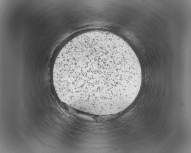 X0000068851164200606021727