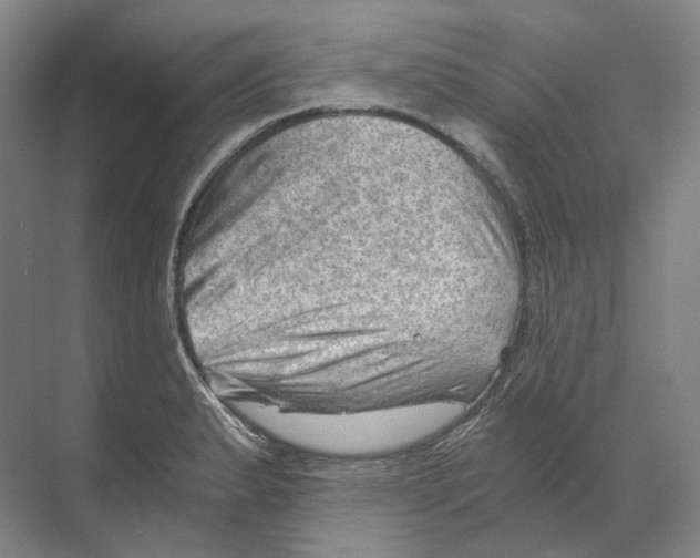 X0000068851183200606021727