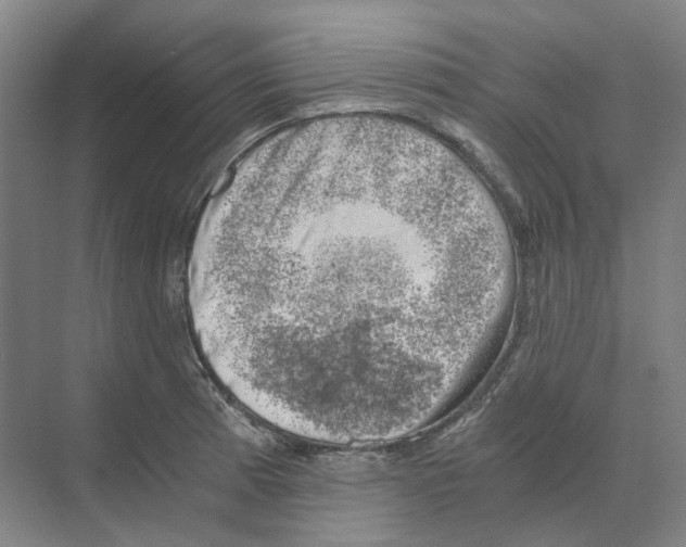 X0000068851185200606021727