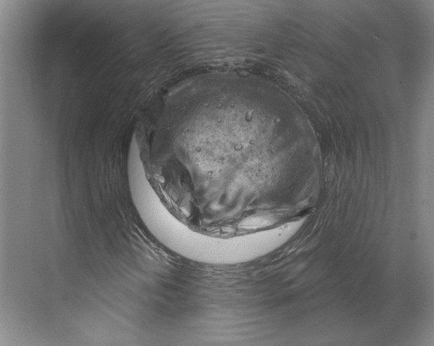 X0000068851202200606021726